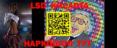 шишки Обнинск