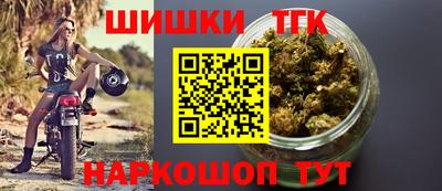шишки Обнинск