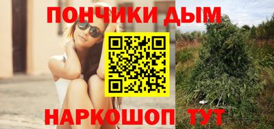 шишки Обнинск